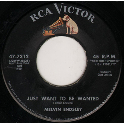Melvin Endsley Just Want To Be Wanted / Gettin' Used To The Blues Vinyl 7" USED