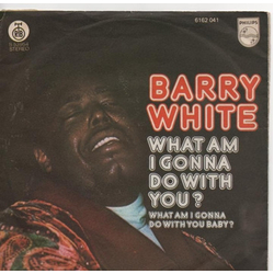 Barry White What Am I Gonna Do With You? Vinyl 7" USED