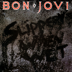 Bon Jovi Slippery When Wet Vinyl LP USED