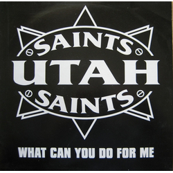 Utah Saints What Can You Do For Me Vinyl 12" USED