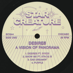 A Vision of Panorama Desires Vinyl 12" USED
