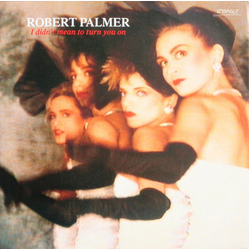 Robert Palmer I Didn't Mean To Turn You On Vinyl 12" USED