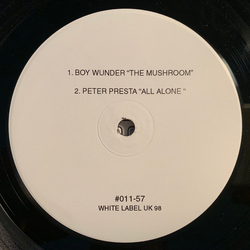 Boy Wunder The Mushroom Vinyl 12" USED
