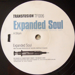 Expanded Soul The Expanded Soul EP Vinyl 12" USED