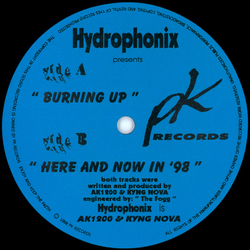 Hydrophonix Burning Up / Here And Now In '98 Vinyl 12" USED
