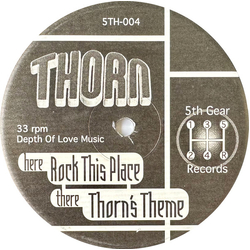 Thorn Rock This Place Vinyl 12" USED