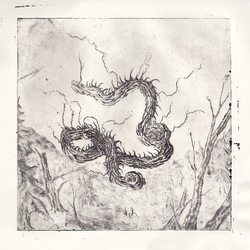 Naðra Allir Vegir Til Glötunar Vinyl LP USED