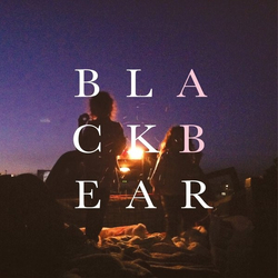 Andrew Belle Black Bear Vinyl LP USED