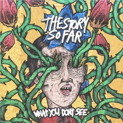 The Story So Far (2) What You Don't See Vinyl LP USED