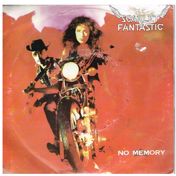 Scarlet Fantastic No Memory Vinyl 7" USED
