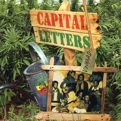Capital Letters Vinyard Vinyl LP USED