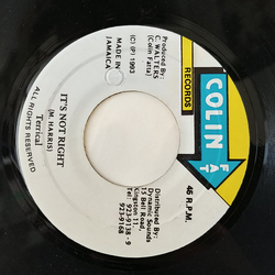 Terrical It's Not Right Vinyl 7" USED