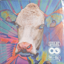 Eyes Of Others Eyes Of Others Vinyl LP USED