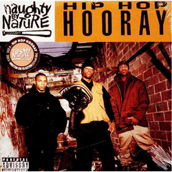 Naughty By Nature Hip Hop Hooray / Written On Ya Kitten Vinyl 7" USED