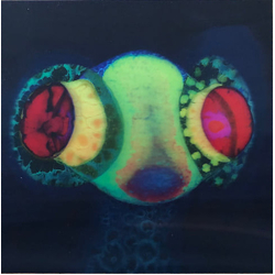 Thee Oh Sees SORCS 80 Vinyl LP USED
