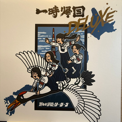 新しい学校のリーダーズ 一時帰国 Deluxe Vinyl LP USED