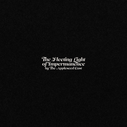 The Appleseed Cast The Fleeting Light Of Impermanence Vinyl LP USED