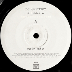 DJ Gregory Elle Vinyl 12" USED