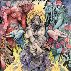 Baroness Stone Vinyl LP USED