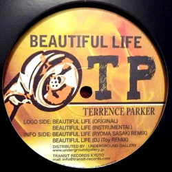 Terrence Parker Beautiful Life Vinyl 12" USED