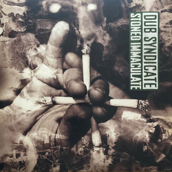 Dub Syndicate Stoned Immaculate Vinyl LP USED