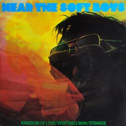 The Soft Boys Near The Soft Boys Vinyl 7" USED