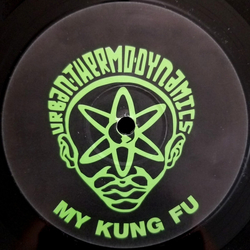 Urban Thermo Dynamics My Kung Fu Vinyl 12" USED