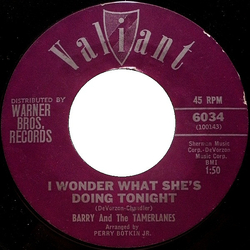 Barry And The Tamerlanes I Wonder What She's Doing Tonight Vinyl 7" USED