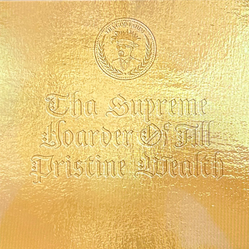 ThaGodFahim Tha Supreme Hoarder Of All Pristine Wealth Vinyl LP USED