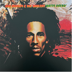Bob Marley & The Wailers Natty Dread Vinyl LP USED