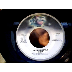 The Plimsouls Now Vinyl 7" USED
