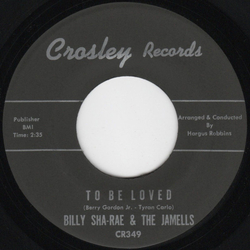 Billy Sha-Rae / The Jamells To Be Loved Vinyl 7" USED