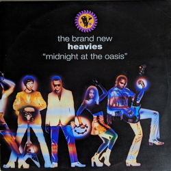 The Brand New Heavies Midnight At The Oasis Vinyl 12" USED