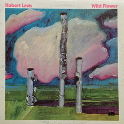 Hubert Laws Wild Flower Vinyl LP USED