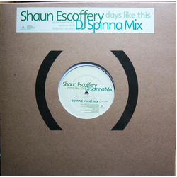 Shaun Escoffery Days Like This Vinyl 12" USED