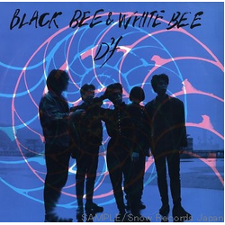 D'f Black Bee & White Bee Vinyl 12" USED