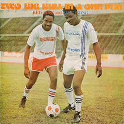 Anthony Red Rose / King Kong King Tubbys Presents Two Big Bull In A One Pen Vinyl LP USED