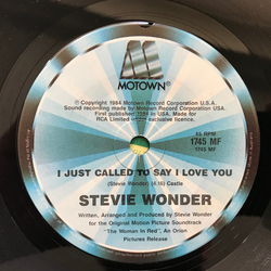 Stevie Wonder I Just Called To Say I Love You Vinyl 7" USED