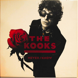 The Kooks Never/Know Vinyl LP USED