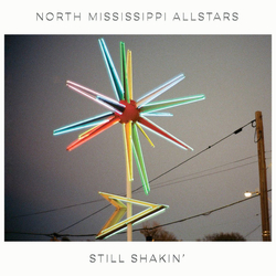 North Mississippi Allstars Still Shakin' Vinyl LP USED