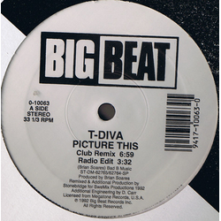 Technodiva Picture This Vinyl 12" USED