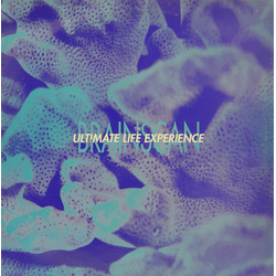 The Ultimate Life Experience Brainscan Vinyl 12" USED