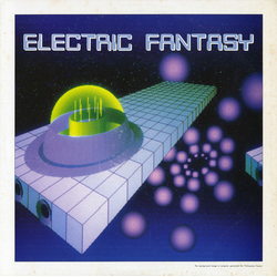 Takashi Kokubo / Electric Fantasy (2) Electric Fantasy Vinyl LP USED