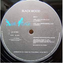 Blackwood I Feel You Vinyl 12" USED
