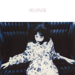 Revenge 7 Reasons Vinyl 12" USED