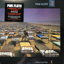 Pink Floyd A Momentary Lapse Of Reason Vinyl LP USED