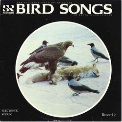 No Artist The Peterson Field Guide To The Bird Songs Of Britain And Europe (Record 2) Vinyl LP USED