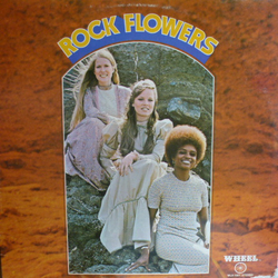 Rock Flowers Rock Flowers Vinyl LP USED