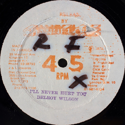 Delroy Wilson I'll Never Hurt You Vinyl 12" USED