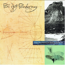 Poi Dog Pondering Wishing Like A Mountain And Thinking Like The Sea Vinyl LP USED